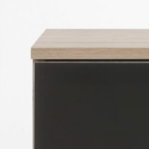 Wimex Easy Plus Eiche sägerau Nachbildung/Glas grau