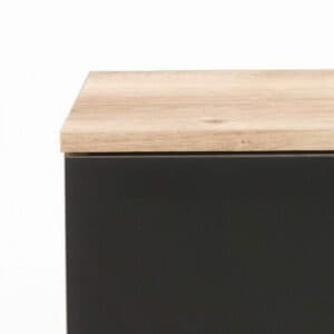 Wimex Easy Plus Plankeneiche Nachbildung/Glas grau