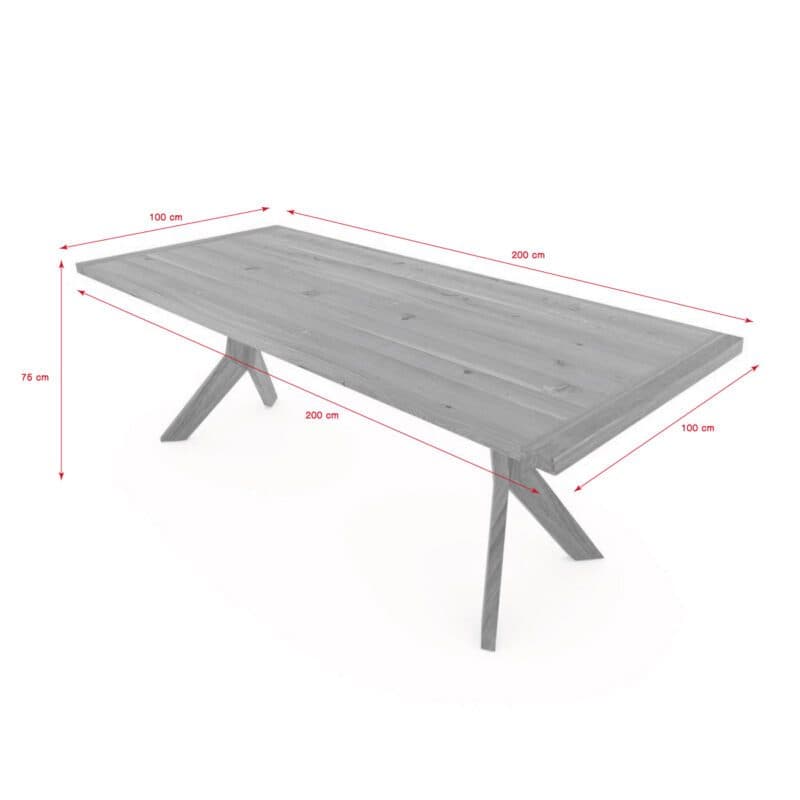 Team 7 Yps Fixtisch Maßskizze 200 x 100 cm