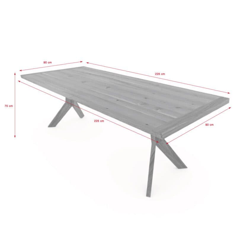 Team 7 Yps Fixtisch Maßskizze 225 x 90 cm
