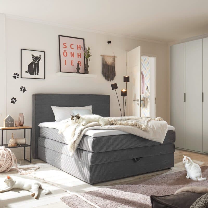 Trendstore Janett Boxspringbett in Bezug Cord grau als Wohnbeispiel.