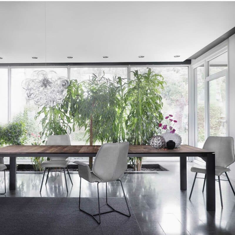 Contur Auszugstisch 3400 mit 4-Fuss in Metall Schwarz und Tischplatte Nussbaum astig massiv geölt Wohnbeispiel